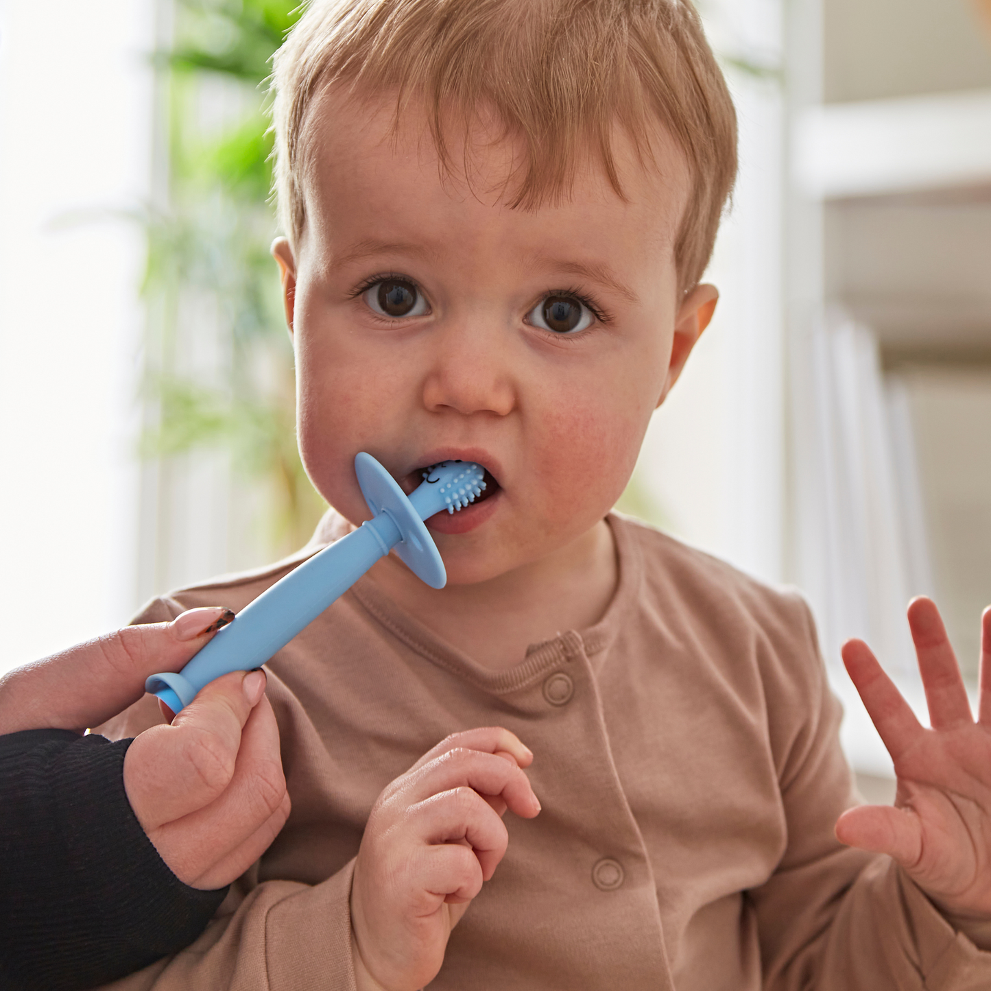 Æfingatannburstar 2 stk - ljósblár & mintugrænn - NÝTT