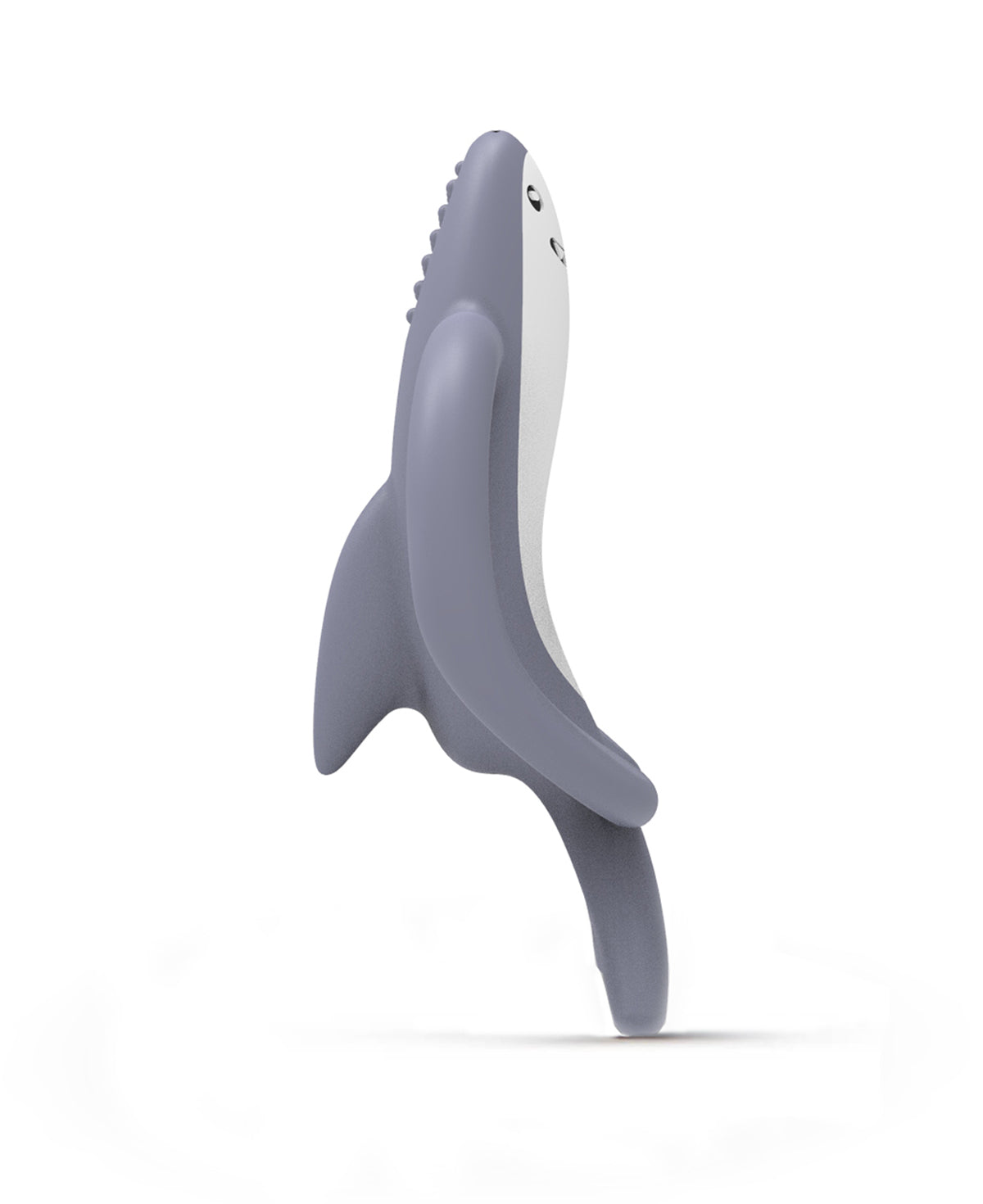 Shreddy shark